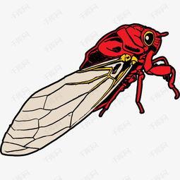 漫画知了,夏日里的成长与蜕变